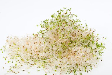 Sağlıklı beslenme. Beyaz arkaplanda taze filizler izole edildi