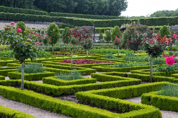 Jardines y Chateau de Villandry en el Valle del Loira en Francia — Foto de Stock