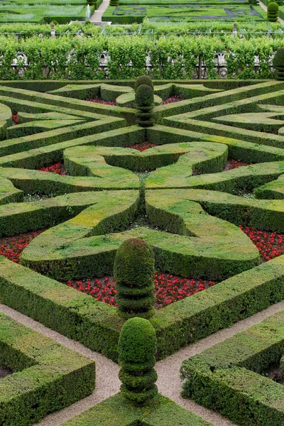 Utmärkt, dekorativa trädgårdar på slott i Frankrike — Stockfoto