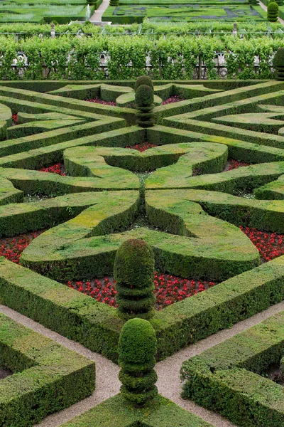 Splendidi giardini decorativi nei castelli in Francia — Foto Stock