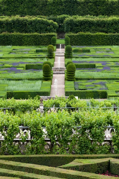 Zahrady a zámek de villandry v údolí Loiry ve Francii — Stock fotografie