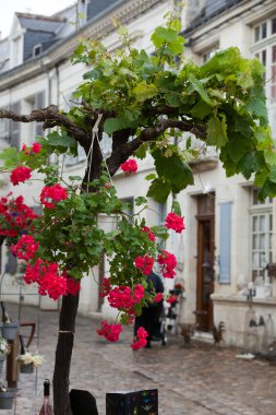 Loire Vadisi 'ndeki Fransız kırsalında romantik sokaklar
