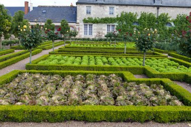 сади і chateau de Вілландрі в Долина Луари у Франції