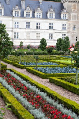 Villandry Şatosu 'ndaki mutfak bahçesi. Loire Vadisi, Fransa