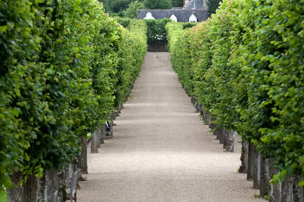 Espléndidos jardines decorativos en castillos en Francia —  Fotos de Stock