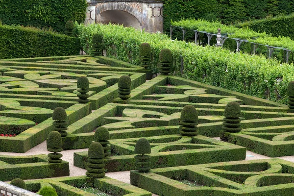 Prachtige, decoratieve tuinen in kastelen in Frankrijk — Stockfoto