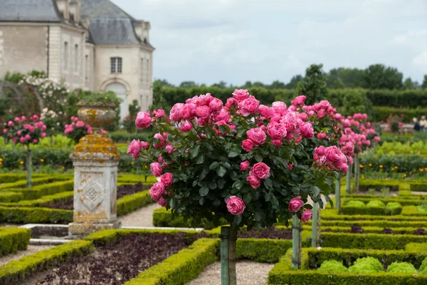 샤토 드빌란 드리에 있는 부엌 정원. 프랑스의 루아르강 유역 — 스톡 사진