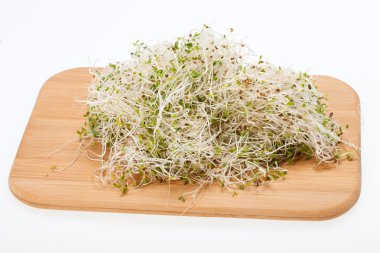 Sağlıklı beslenme. Beyaz arkaplanda taze filizler izole edildi