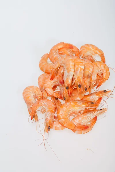 Fresh shrimp isolated on a white background — Stock Photo, Image