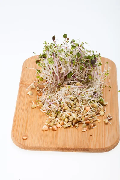 La dieta saludable. Brotes frescos aislados sobre fondo blanco — Foto de Stock