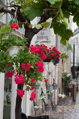 Loire Vadisi 'ndeki Fransız kırsalında romantik sokaklar
