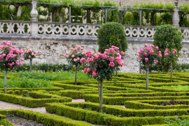 сади і chateau de Вілландрі в Долина Луари у Франції