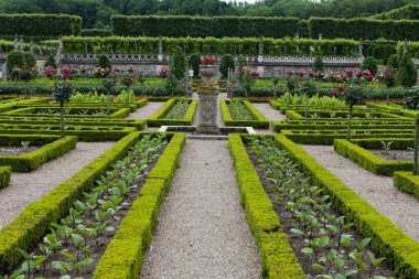Villandry Şatosu 'ndaki mutfak bahçesi. Loire Vadisi, Fransa