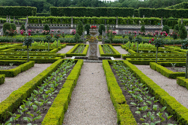 Kitchen garden in Chateau de Villandry. Loire Valley, France
