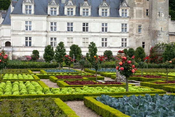 Köksträdgård i Chateau de Villandry. Loire Valley, Frankrike — Stockfoto