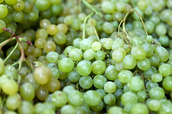 Antecedentes de uvas blancas frescas — Foto de Stock
