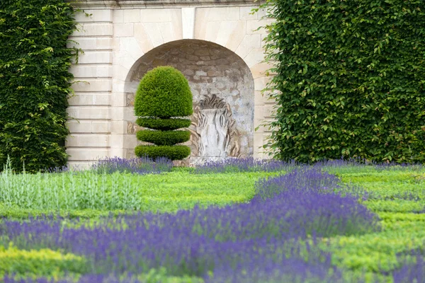 Jardines con la floreciente lavanda en castillos en el valle del Loira —  Fotos de Stock