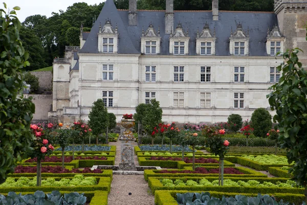 Kitchen garden in Chateau de Villandry. Loire Valley, France — Stock Photo, Image