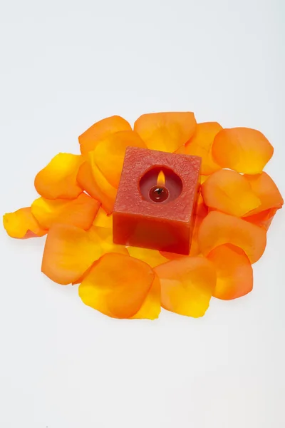 Rozlité okvětní lístky oranžové růže kolem aromatické svíčky — Stock fotografie