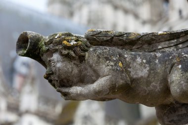 Gargoyle üzerinde Gotik Katedrali, saint gatien Tours-loire valley Fransa