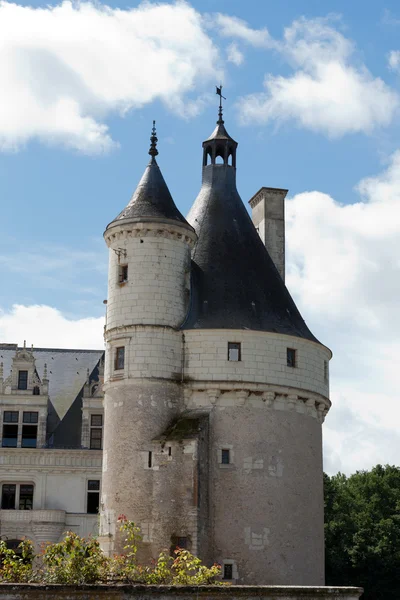 Zamek chenonceau. znany jako zamek Panie został zbudowany w 1513 roku i jest jednym z najczęściej odwiedzanych w dolinie Loary. — Zdjęcie stockowe