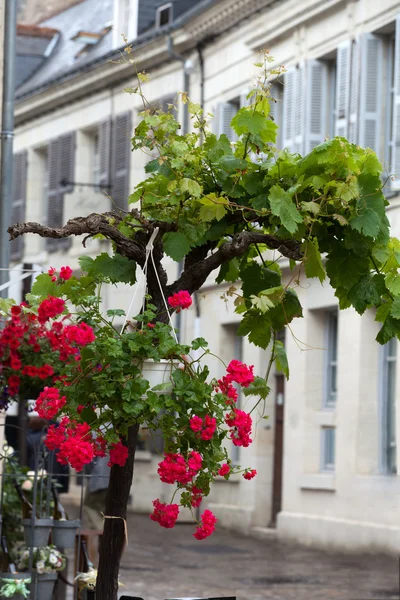 Ruas românticas em cidades rurais francesas no Vale do Loire — Fotografia de Stock