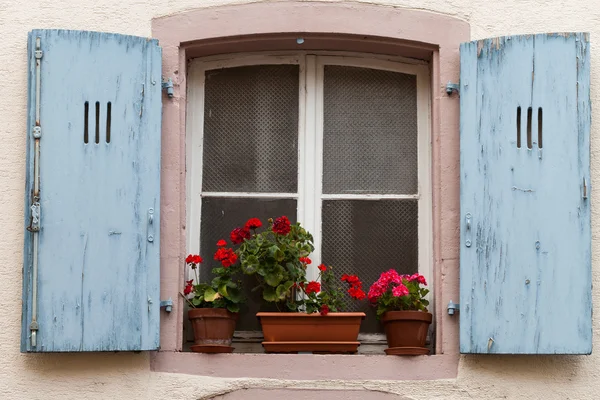 Fenster mit Rollläden und Blumentöpfen — Stockfoto