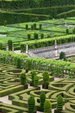 сади і chateau de Вілландрі в Долина Луари у Франції