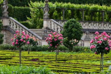 Villandry Şatosu 'ndaki bahçe. Loire Vadisi, Fransa