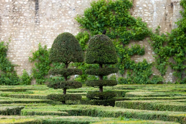 Prachtige, decoratieve tuinen in kastelen in Frankrijk — Stockfoto