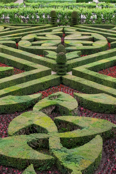 Splendid, decorative gardens at castles in France — Stock Photo, Image