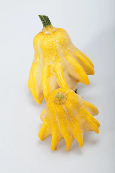 Calabaza decorativa aislada sobre fondo blanco — Foto de Stock