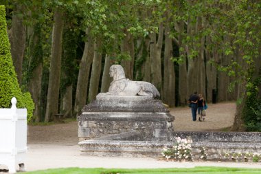 chateau chenonceau Fransa'nın gerekçesiyle ağaçlarda bir cadde.