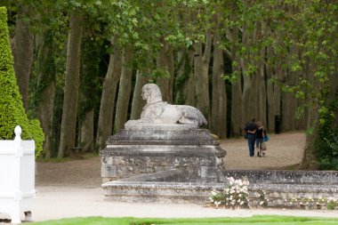 An avenue of trees in the grounds of the chateau of Chenonceau in France. clipart