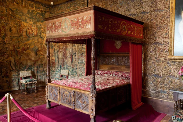 Castelo de Chenonceau interior. Conhecido como o castelo das senhoras foi construído em 1513 e é um dos mais visitados no Vale do Loire . — Fotografia de Stock