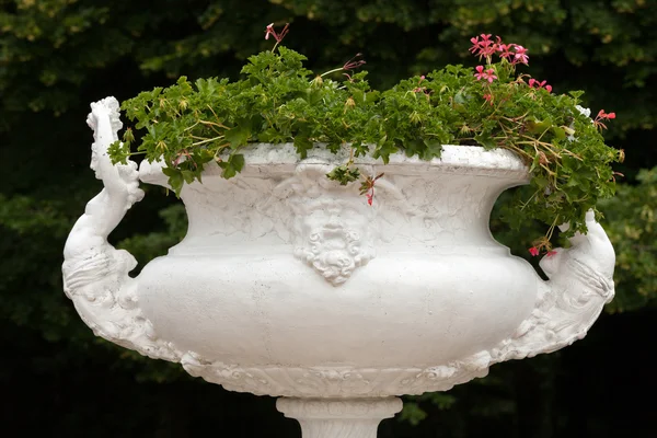 Giardini a Chateau Chenonceau nella Valle della Loira in Francia — Foto Stock