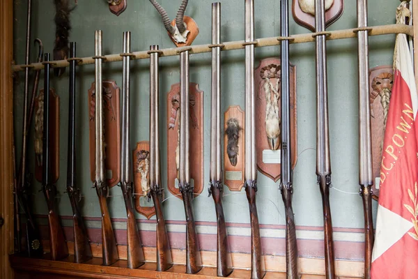 Castello di Montresor, la collezione della vecchia arma da caccia. Loire Vallej, Francia — Foto Stock