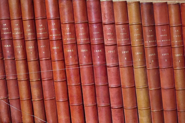 Vintage books in different shades of red and brown in bookcase — Stock Photo, Image