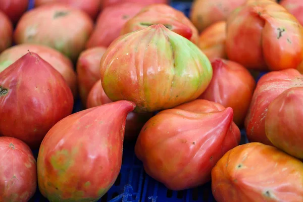Verse tomaten te koop bij de lokale boerenmarkt. — Stockfoto