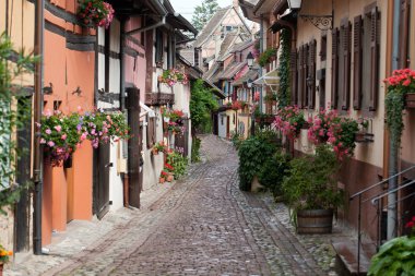 Fransa 'nın Alsace kentindeki ünlü şarap rotası boyunca Eguisheim köyünde yarı ağaçlı ortaçağ evleri olan sokak.