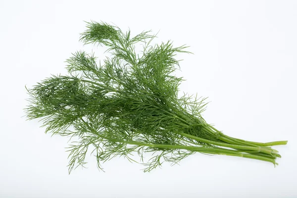 Grön dill isolerad på vit bakgrund. — Stockfoto