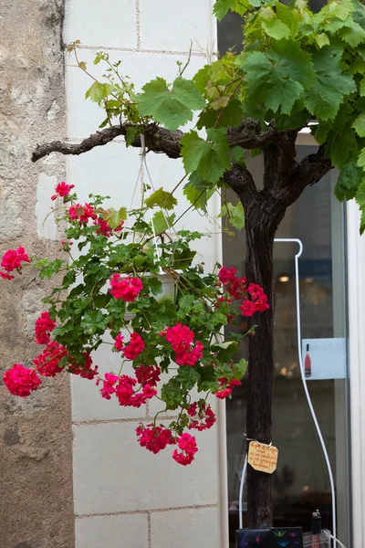 Romantic streets in French country towns in the Valley of Loire — Stock Photo, Image