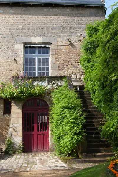 Oude rode deur met grapevine — Stockfoto