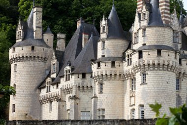 Rigny-Usse Kalesi Uyuyan Güzel Kalesi olarak bilinir ve 11. yüzyılda inşa edilmiştir. Loire Vadisi, Fransa