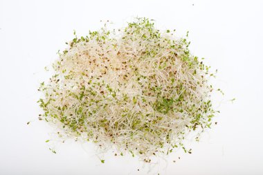 Sağlıklı beslenme. Beyaz arkaplanda taze filizler izole edildi