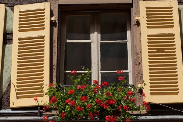 Fenêtre avec volets et pots de fleurs — Photo