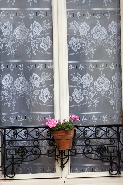 Fenêtre blanche avec pot de fleurs — Photo