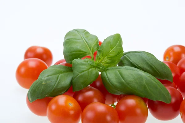 Fresh cherry tomatoes with basil, on white background — Stock Photo, Image