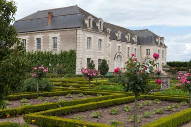 Villandry Şatosu 'ndaki mutfak bahçesi. Loire Vadisi, Fransa