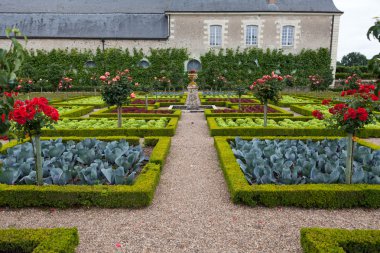 Villandry Şatosu 'ndaki mutfak bahçesi. Loire Vadisi, Fransa